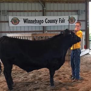 Meet your Posher, Rachael